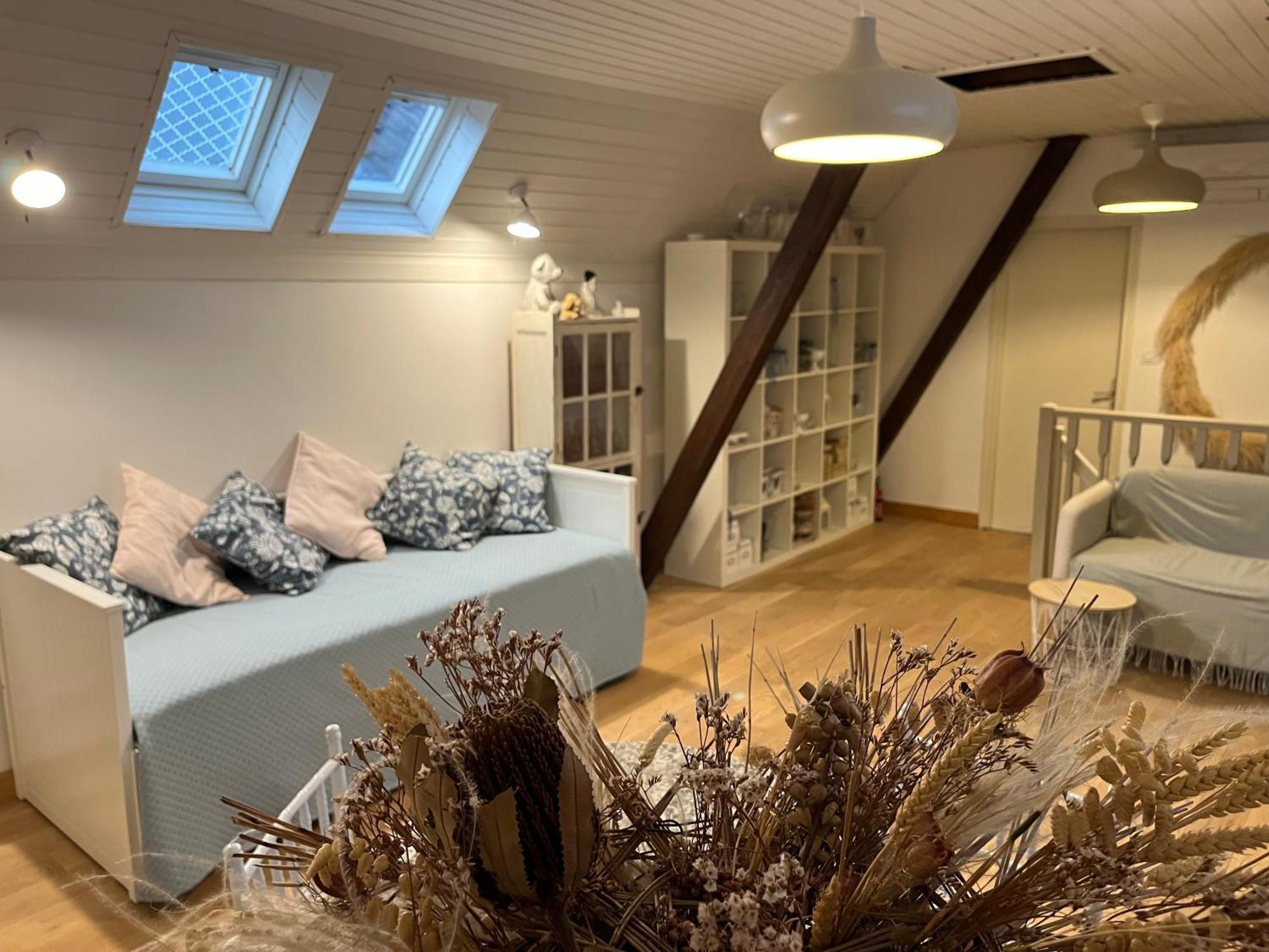 Villa Etage Entier Prive, 45M2 Chez Regine Schiltigheim Exterior foto